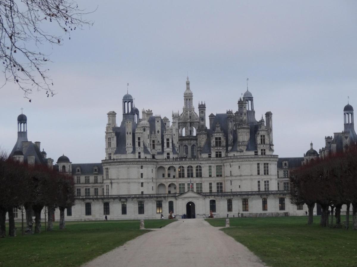 Gite Le Cerf Solognot Proche Chateau Chambord, Lamotte Beuvron Neung-sur-Beuvron Экстерьер фото